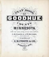 Goodhue County 1894 